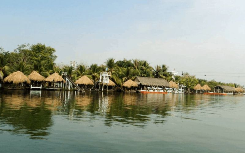 Gợi ý 10+ địa điểm dã ngoại gần Sài Gòn tuyệt vời vào cuối tuần 17 dia diem da ngoai gan sai gon tuyet voi 8