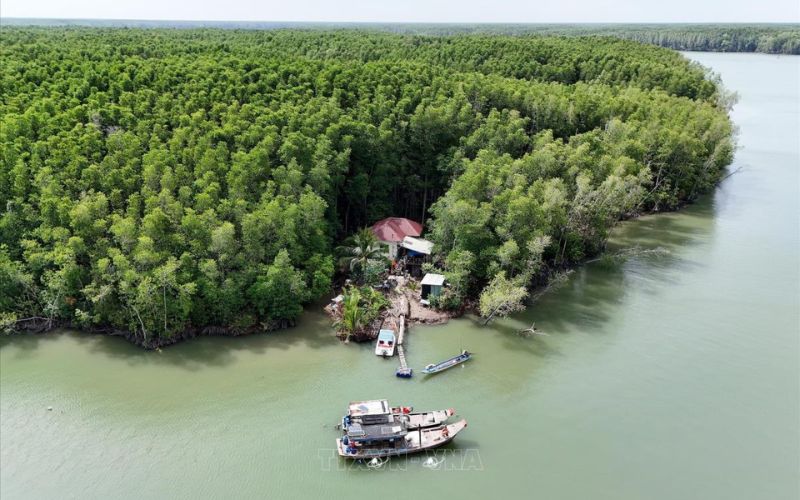 Khu dự trữ sinh quyển Cần Giờ