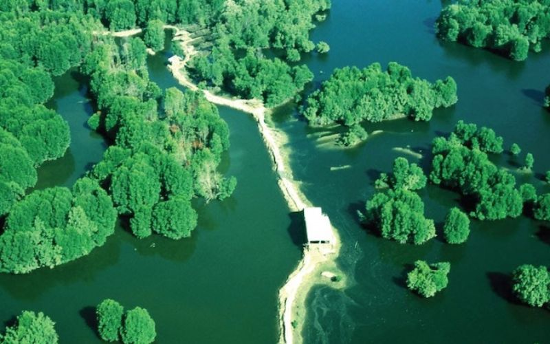 Du lịch 1 ngày tại khu dự trữ sinh quyển Cần Giờ