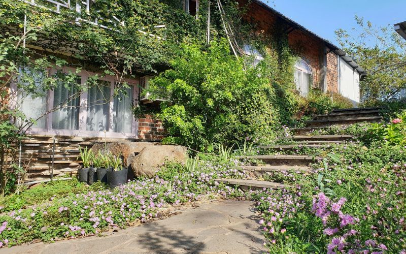 Vì sao farmstay trở thành xu hướng