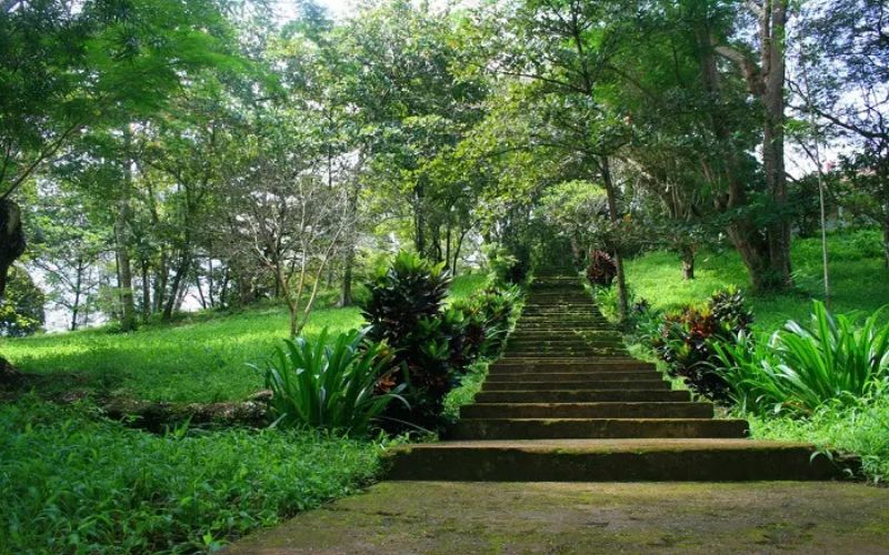 Khu du lịch Suối Tre