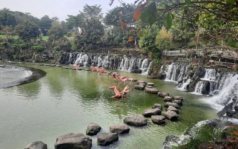 Khu du lịch Suối Mơ (Đồng Nai)