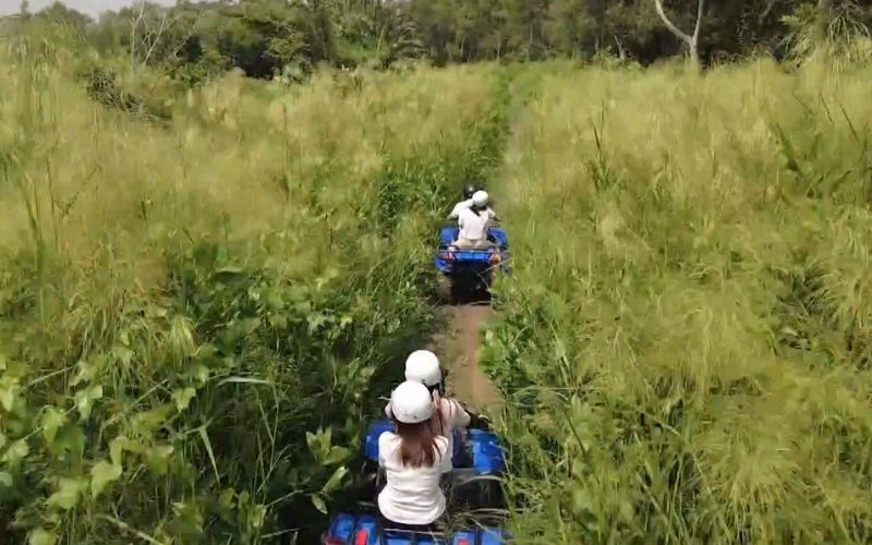 Top 10 trải nghiệm lễ 2/9 tại Bò Cạp Vàng bạn không nên bỏ lỡ 7 Lái xe địa hình xuyên rừng