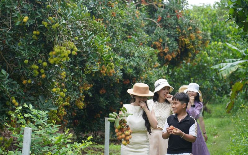 vườn trái cây gần Sài Gòn lý tưởng cho chuyến đi cuối tuần