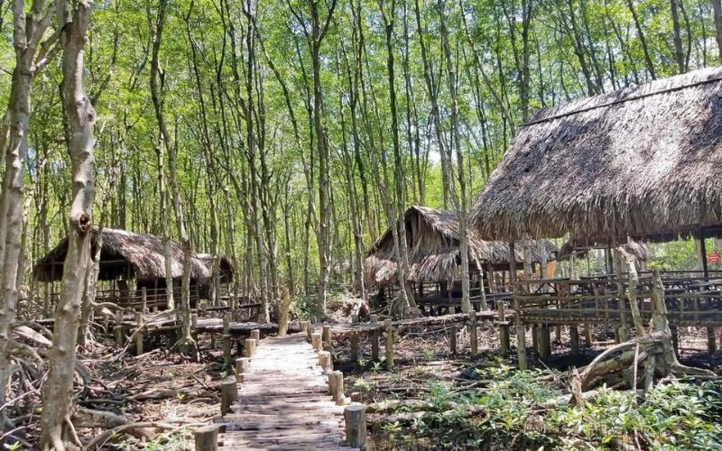 Khám phá rừng ngập mặn và căn cứ rừng sác