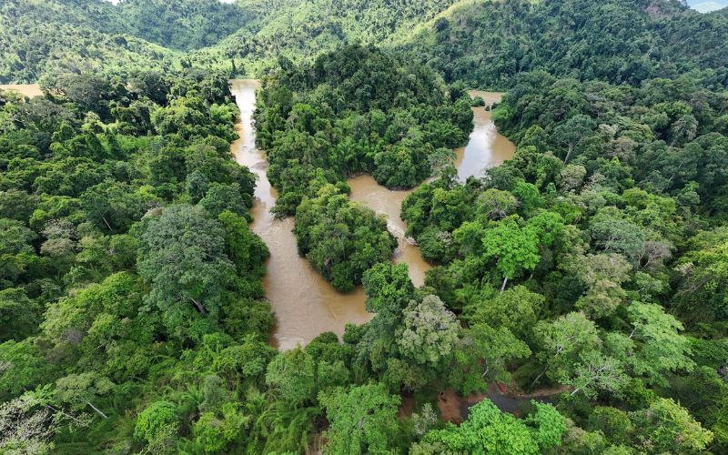 Vườn Quốc gia Cát Tiên trải nghiệm "hoang dã" tại Đồng Nai