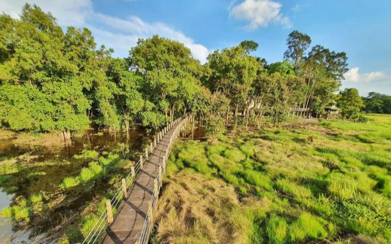 Kinh nghiệm du lịch Bàu Sấu Nam Cát Tiên hành trình vào rừng sâu 3 Bạn nên đến Bàu Sấu vào mùa khô để có thể trải nghiệm tốt nhất