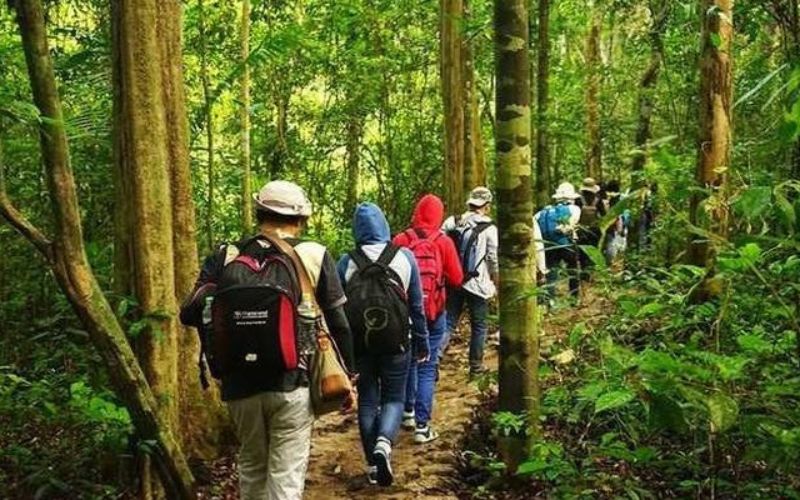 Kinh nghiệm du lịch Bàu Sấu Nam Cát Tiên hành trình vào rừng sâu 5 Trải nghiệm Trekking xuyên rừng Nam Cát Tiên